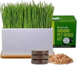 Natural Hairball Control And Remedy: Organic Cat Grass Growing Kit With ... - £34.59 GBP