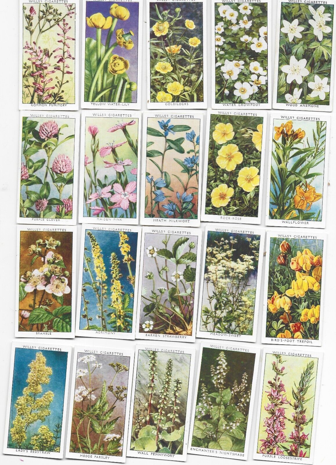 Full 50 Card Set-Wildflowers-W.D &amp; H.O. Wills Cigarette Cards - $30.00