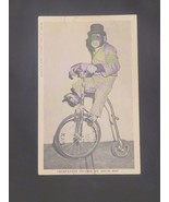 Chimpanzee Riding Bicycle 1947 Anthropomorphic RPPC Photo Animal Human C... - £21.09 GBP