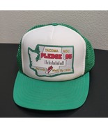 Vintage USPS Barcode All Mail Initiative Green Mesh Trucker Snapback Hat... - $47.51