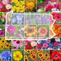 FA Store 1000 Seeds Wildflower Pennsylvania State Flower Mix Perennials ... - £7.87 GBP