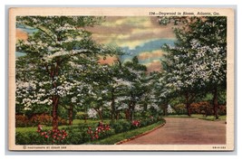 Dogwood Flowers In Bloom Atlanta Georgia GA Linen Postcard N25 - £2.30 GBP