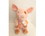 Kohls Cares If You Give A Pig A Pancake Pink Brown 13&quot; Plush Stuffed Animal - $18.32