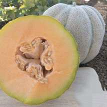 Iroquois melon seeds - £1.47 GBP