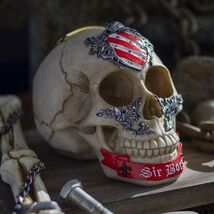 Ebros The Knights of The Round Table King Arthur Skulls Sir Bors Skull F... - €21,44 EUR