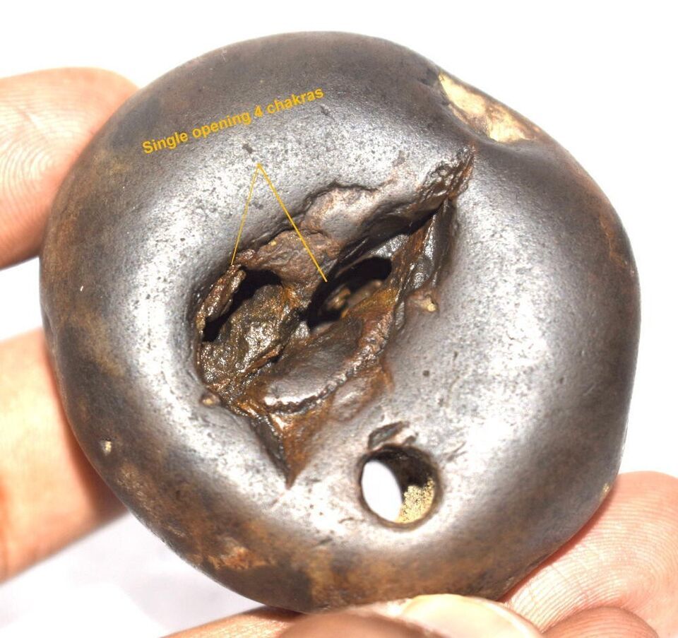 Rare Laxmi Narayan Shaligram - Gandaki River Nepal - $736.44