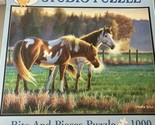 Bits and Pieces Studio Jigsaw Puzzle Cynthie Fisher &quot;Pasture Buddies&quot;, 1... - £18.26 GBP