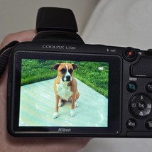 Item image 11