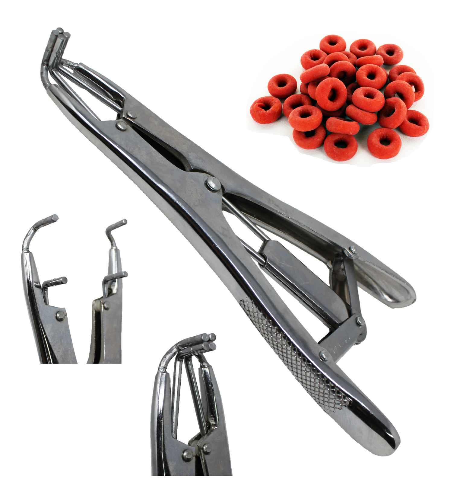 Horse Farrier Tool SS Elastrator Castration Banding Cattle Bands 984116 - $16.82