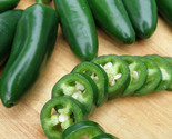 Jalapeno Pepper Seeds HOT PEPPER NON-GMO JALAPENO POPPERS  - £2.40 GBP