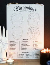 Gothic Wicca Phrenology Alternative Science Of Human Mind Metal Wall Sign Decor - £12.77 GBP