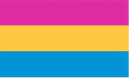 Pansexual Flag 4&#39;x6&#39; ft LGBTQIA Pan Pride Pansexual Rainbow Pride Flag Pride USA - £17.94 GBP