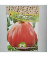 Heart of Albenga Tomato Seeds – A Bulgarian Delight!  - $7.50