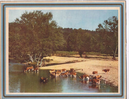 Advertising Picture From Calendar Cows Drinking General Steel Wares GSW ... - $4.94