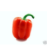 PSA Red Bell Pepper Sweet Aji Pimiento Rojo Seed 100 Seeds Fast Growing - $321.02 MXN