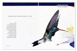 Delta Air Lines Business Class Menu Hummingbird Vintage 1998 2-Page Magazine Ad - £9.63 GBP