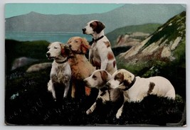 Five Dogs On Hillside English Fine Art Co Series 1058 Postcard W22 - £6.30 GBP