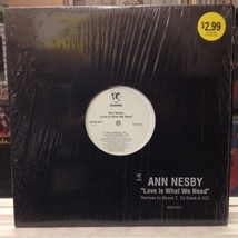 [SOUL/EDM]~NM 12&quot;~ANN Nesby~Mouse T~Dj Sneak~Kcc~Love Is What We Need - £7.11 GBP
