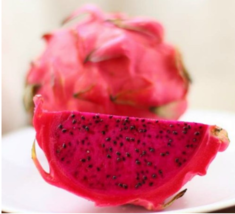 50 Seeds Purple Dragon Fruit Seeds Fresh Garden - $5.96