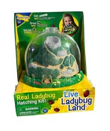 Insect Lore Live Ladybug Land Hatching Kit - Includes Habitat Magnifying... - $39.71 CAD