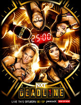 NXT Deadline WWE Poster Wrestling Event Art Print Size 11x17&quot; 24x36&quot; 27x... - $11.90+