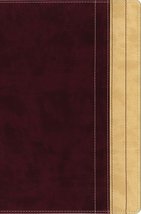 NIV Thinline Reference Bible (Italian Duo-Tone) Zondervan - $75.00