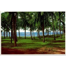 Vintage Hawaii Chrome Postcard, Kapalua Maui Pacific Ocean Coconut Palm Trees - £16.05 GBP