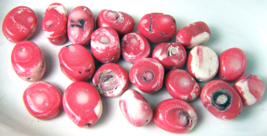 22 Coral Beads Natural Pink White &amp; Black Tabular Coin Shape 18 - 20 mm - £15.27 GBP