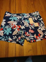 St. John&#39;s Bay Size 12 Shorts Secretly Slender-Brand New-SHIPS N 24 HOURS - £39.56 GBP