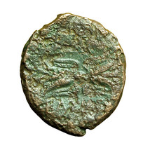 Ancient Greek Coin Agathokles Syracuse Sicily AE21mm Artemis / Thunderbolt 03955 - $25.19