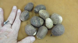 Item image 1 image 1