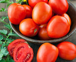 50 Seeds Organic Roma Tomato Non Gmo Solanum Lycopersicum - $12.98