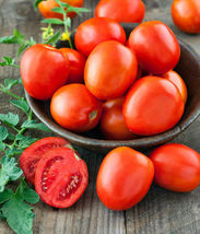 50 Seeds Organic Roma Tomato Non Gmo Solanum Lycopersicum - £10.37 GBP