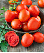 50 Seeds Organic Roma Tomato Non Gmo Solanum Lycopersicum - $12.98