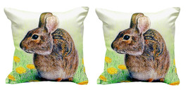 Pair of Betsy Drake Rabbit No Cord Pillows 18 Inch X 18 Inch - £63.30 GBP