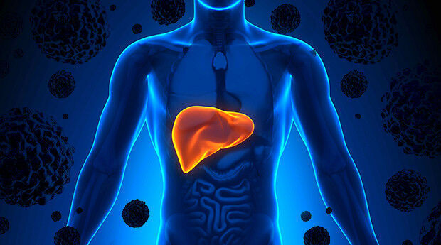 liver detox diet - LIVER DETOX & CLEANSE - milk thistle detox - 1 Bottle 60 Caps Item image 11