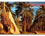 Date Empire Indio Califronia CA UNP Chrome Postcard U13 - $3.91