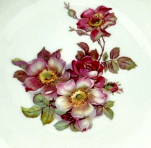 Vtg. Bavaria Schumann Wild Rose Plate E & R Golden Crown Arzberg Germany 7.5" image 3