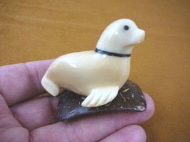 (TN-SEAL-602) baby Seal sea lion TAGUA NUT palm figurine carving I love ... - £14.59 GBP