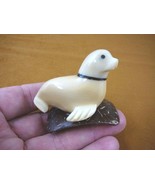 (TN-SEAL-602) baby Seal sea lion TAGUA NUT palm figurine carving I love ... - $334.22 MXN