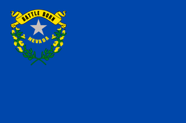 Nevada State Flag - 3x5 Ft - £15.68 GBP