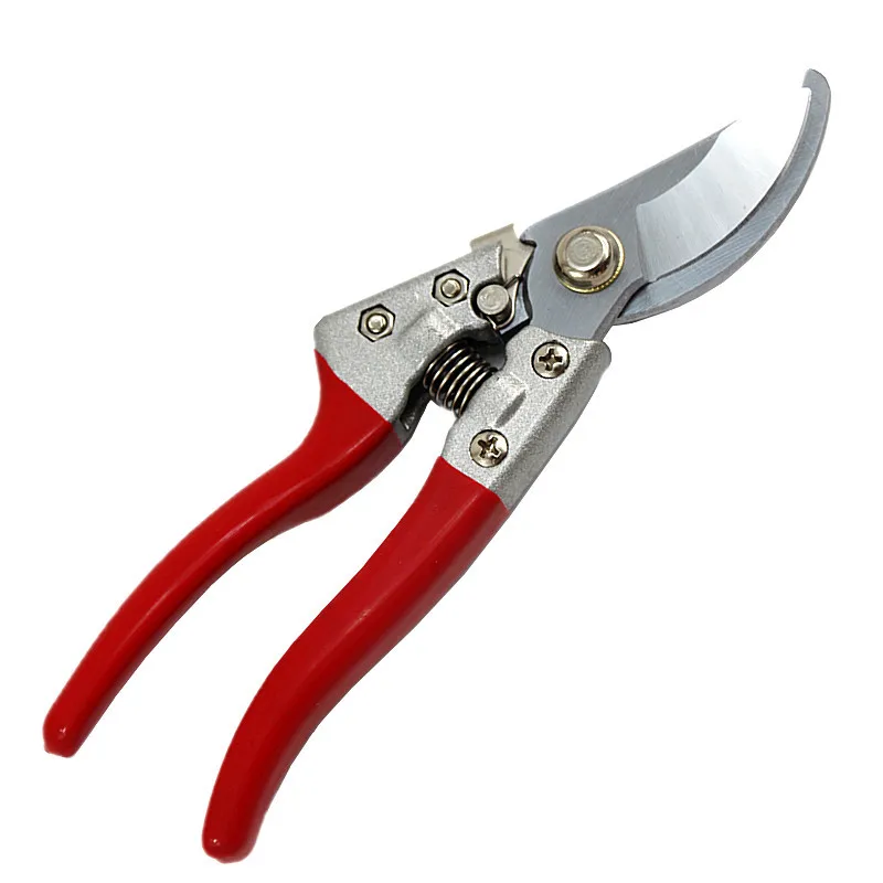 SK5 Pruner Garden Pruning Shears Scissors Horticulture Fruit Tree Shears Garden  - £176.10 GBP