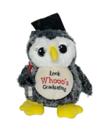 Dan Dee Graduation Gray Owl Look Whooo&#39;s Graduating Diploma Plush 2018 1... - $33.66