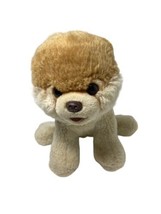 Gund Boo Worlds Cutest Dog Puppy Pomeranian 9 In  Stuffed Animal  4029715 Plush  - £5.76 GBP