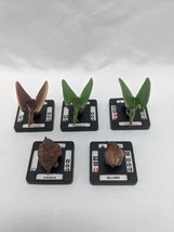 Lot Of (5) Monsterpocalypse Terrasaurs Grunt Figures Pterodactyl Spikasa... - $24.75