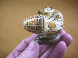 (TNE-MOU-441-C) Mouse Little Corn Mice Tagua Palm Nut Figurine Carving Vegetable - £21.51 GBP
