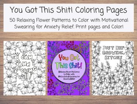 You Got This Shit! Relaxing Flower Patterns to Color with Motivational Swearing  - £2.34 GBP