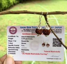 Boucles d&#39;oreilles en argent 925 certifié laboratoire + 5 Mukhi RUDRAKSH... - $17.27