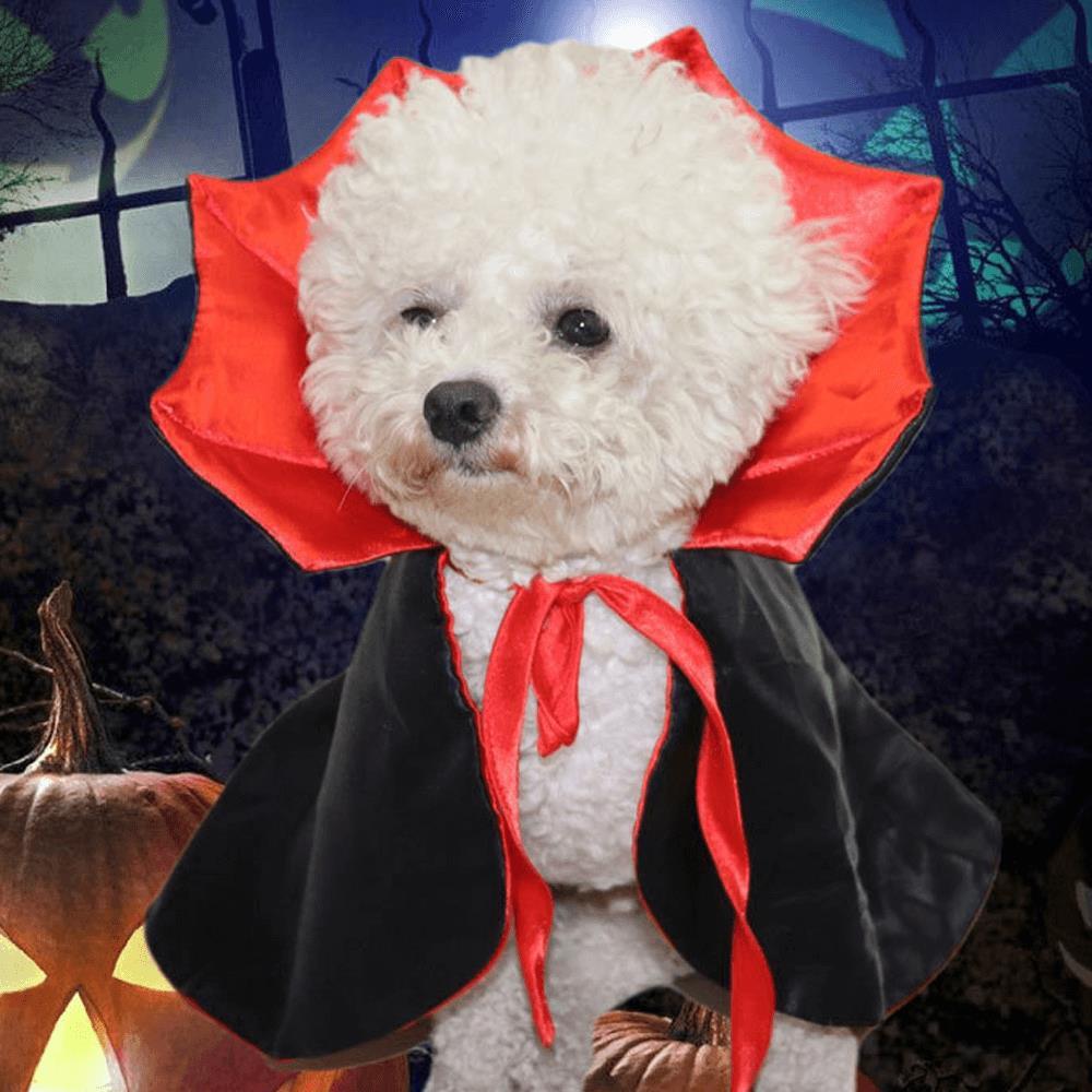 Halloween Cat Vampire Costume For Dogs and Cats - £16.76 GBP