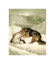 Painting Giclee Print Sir Edwin Henry Landseer Dog Protecting Sheep In Winter - £7.60 GBP+
